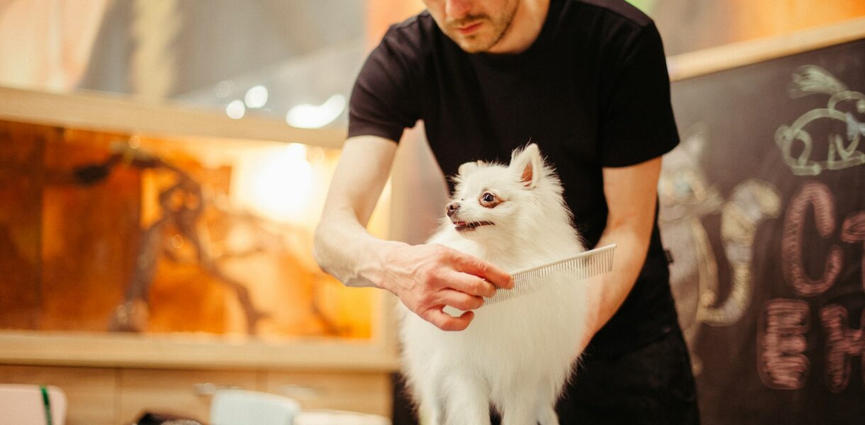 Hundefriseur in Köln - Salon für Hunde